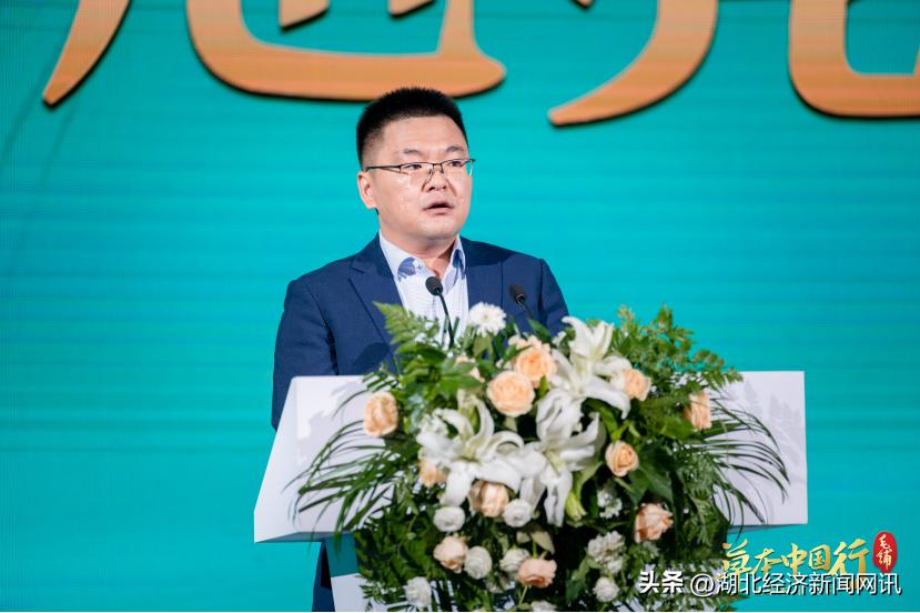 滴滴叩响IPO大门，资本市场的新篇章