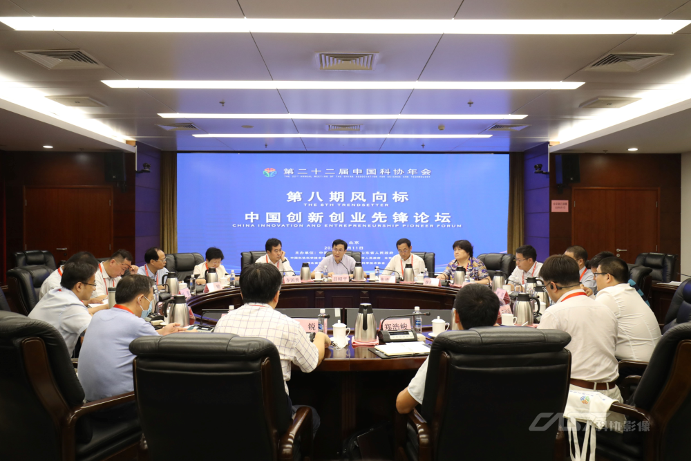 虎啸网，引领数字化转型的先锋力量