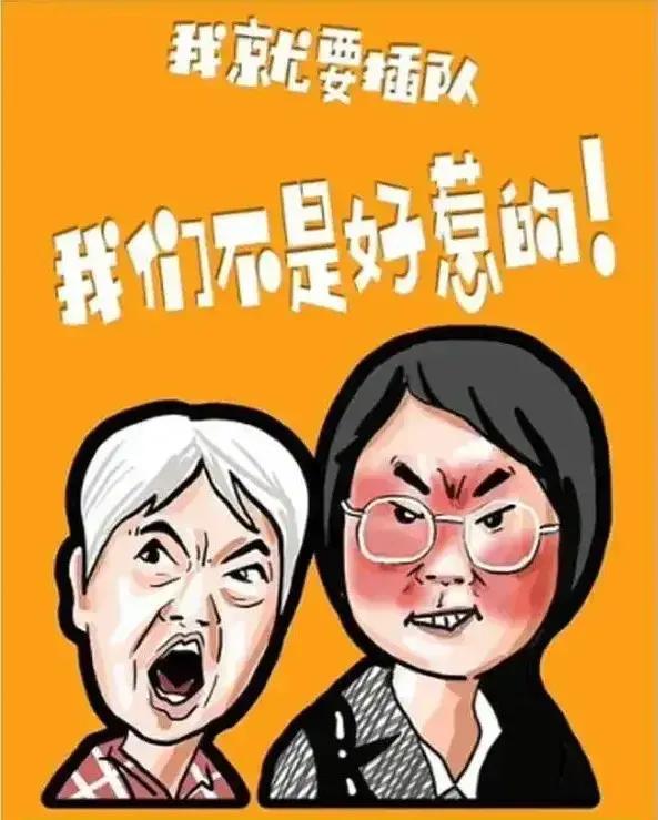 胡锡进谈贴插队婆孙车贴事件，公众应理性看待，避免过度炒作与恶意解读