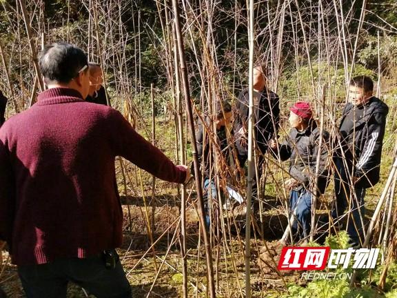 开心农民，辛勤耕耘中的乐观生活