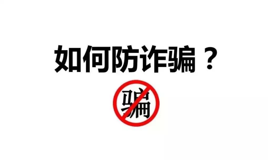 单人资讯，探索个性化时代的独特力量