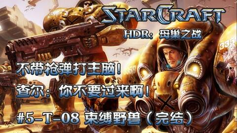 星际争霸，3SB大战的辉煌史诗