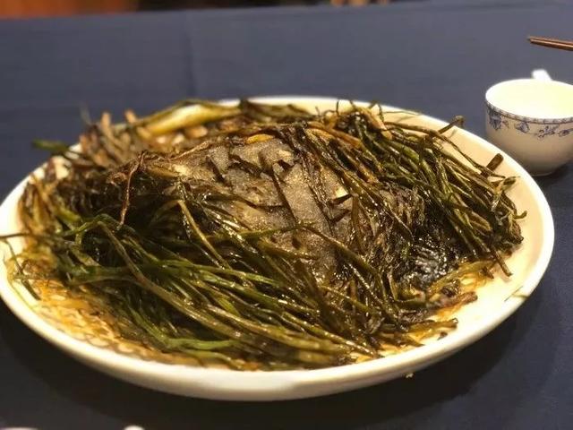 草熘最新地址，探索与发现之旅