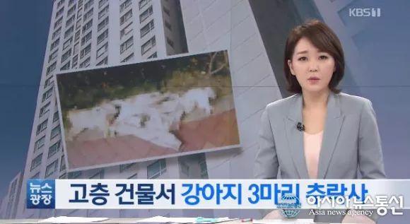 雷政富出狱后海南吃涮羊肉，重生与反思