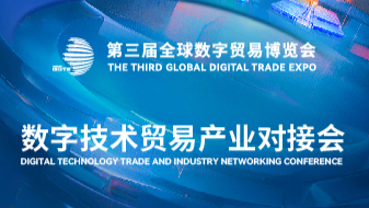 借贷宝与数字资源的种子，探索10G资源种子的潜力与机遇