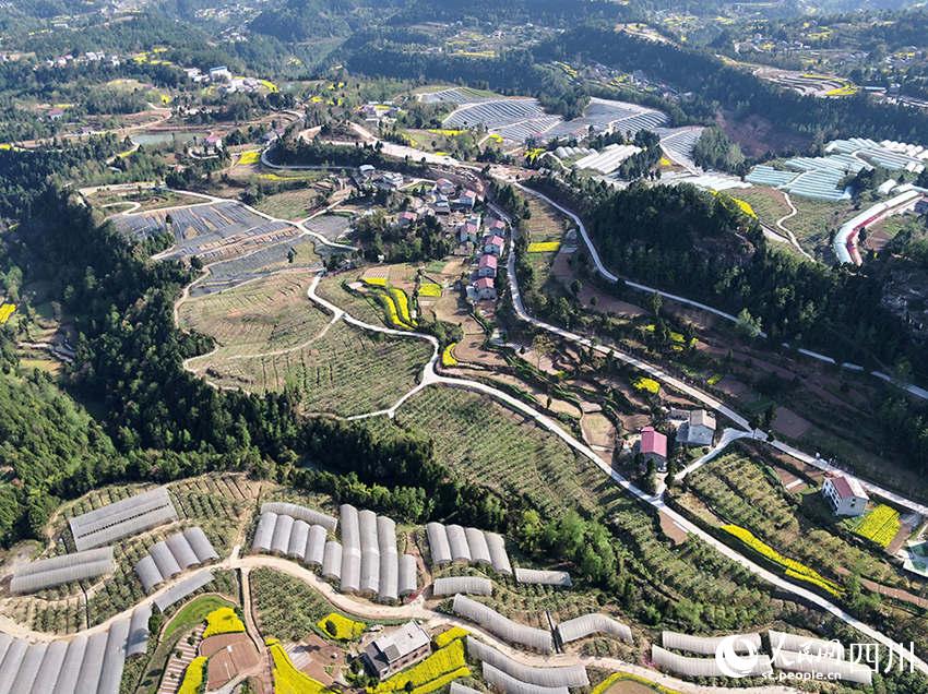 草熘社区2015最新地址——探索社区新面貌与发展动态
