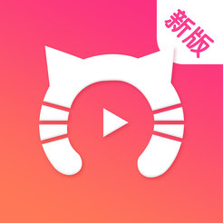 快猫下载，探索数字时代的极速体验