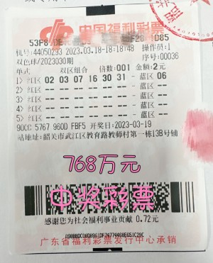 双色球开奖记录完整版，揭秘彩票背后的故事