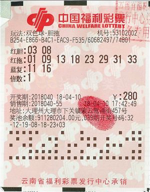 双色球寒梅园图谜汇总图，探索彩票背后的艺术与文化魅力