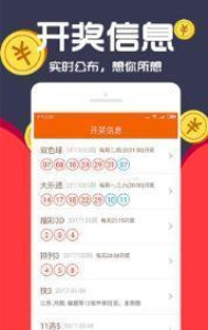 王中王，揭秘彩票预测的神秘面纱与精准策略