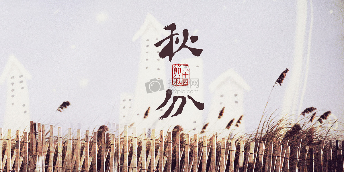 齐鲁风采，三十选七的独特魅力