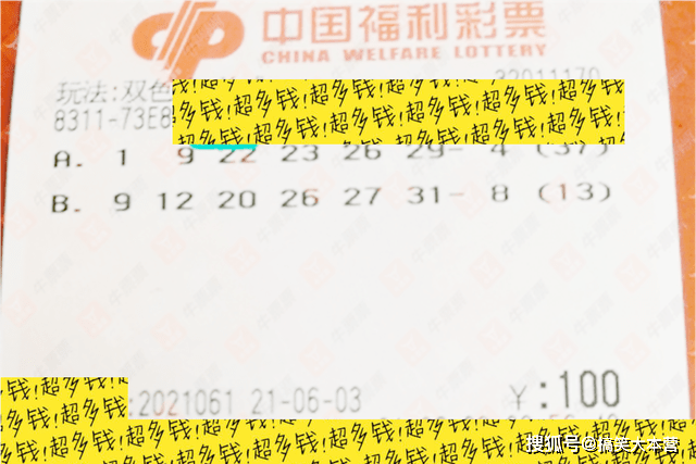 福利彩票开奖查询，双色球的魅力与开奖结果揭晓