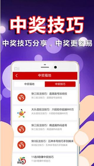 彩票3D网站，探索数字彩票的新时代
