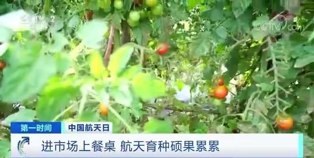 海南排列五开奖直播，体验彩票开奖的紧张与激动