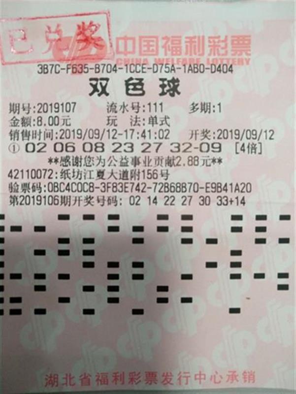 双色球8 1中2 1的魅力与策略