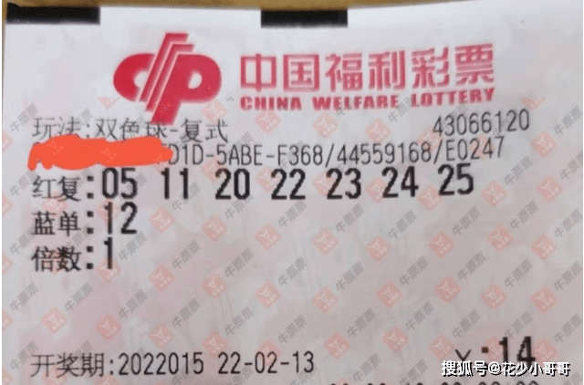 揭秘2021年双色球第133期开奖结果，幸运与梦想的交汇点