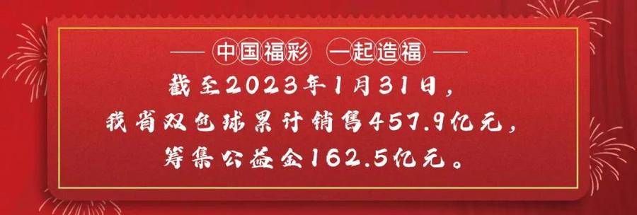 齐鲁风采双色球开奖号码2021098，梦想与希望的交织