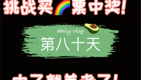 彩票世界探索 第4页