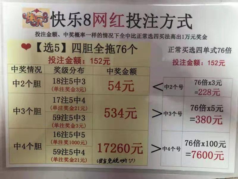 探索现代彩票投注新领域，3D胆拖复式投注表计算器