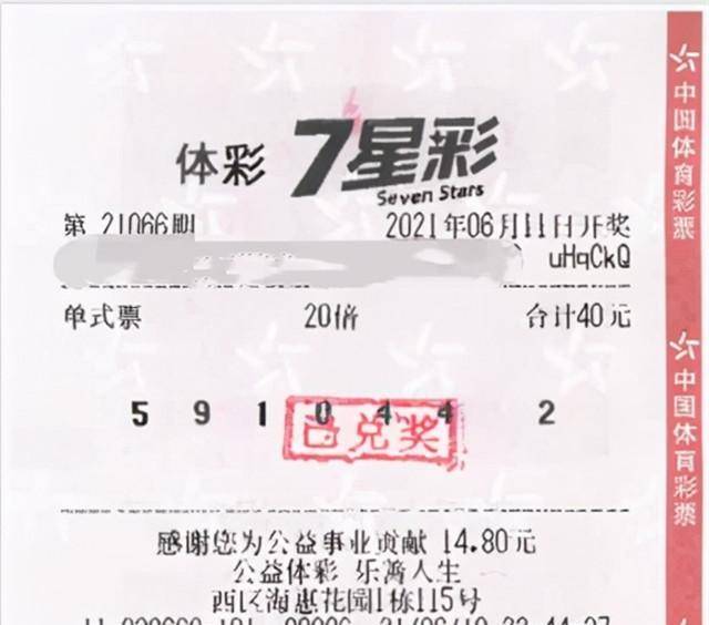 南国七星彩论坛，探索第2593期规律图与彩票背后的秘密