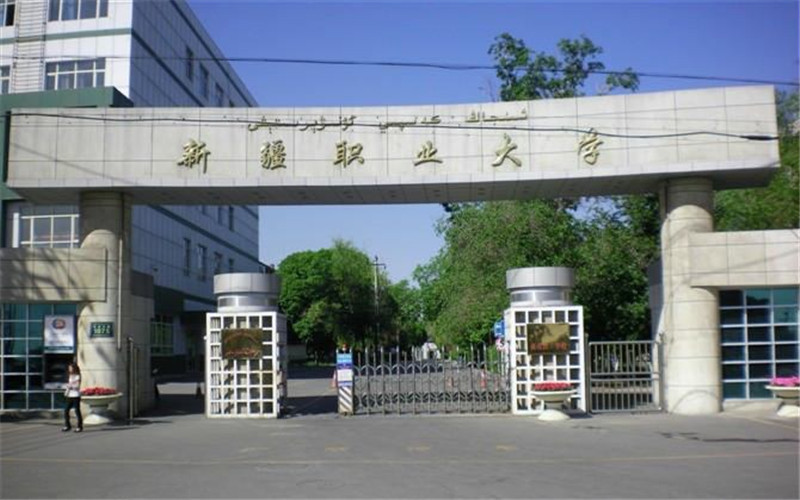 新疆的大学有哪些，全面解析新疆的高等教育格局
