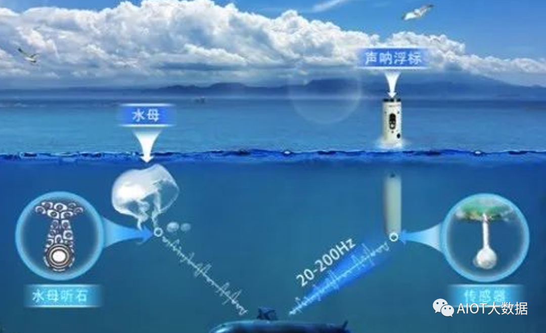 探索最新3D开机号和试机号，引领技术前沿的指引