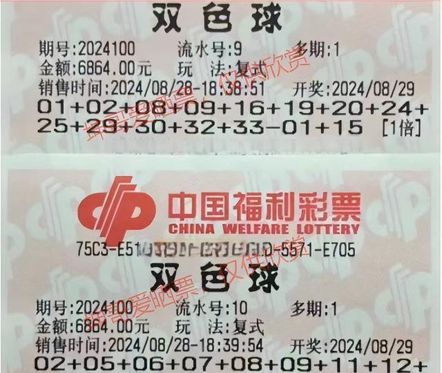 彩票购买，梦想与现实的交汇点