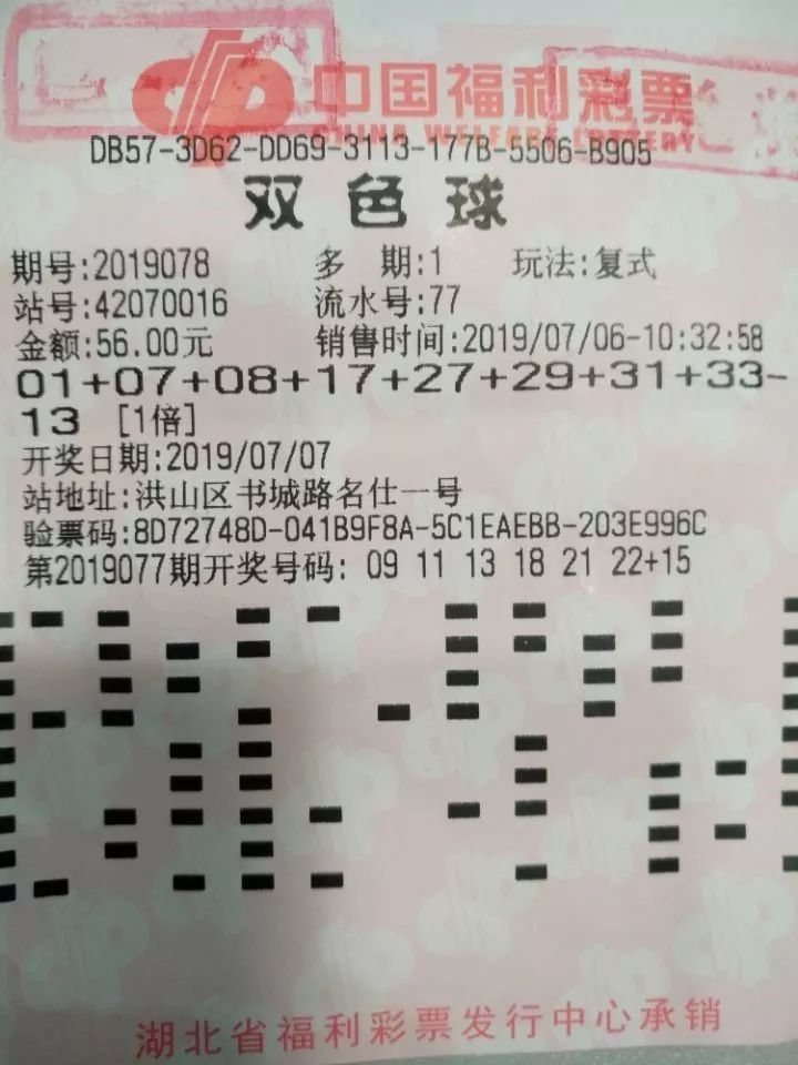 中国福彩双色球查询结果，揭秘彩票背后的故事