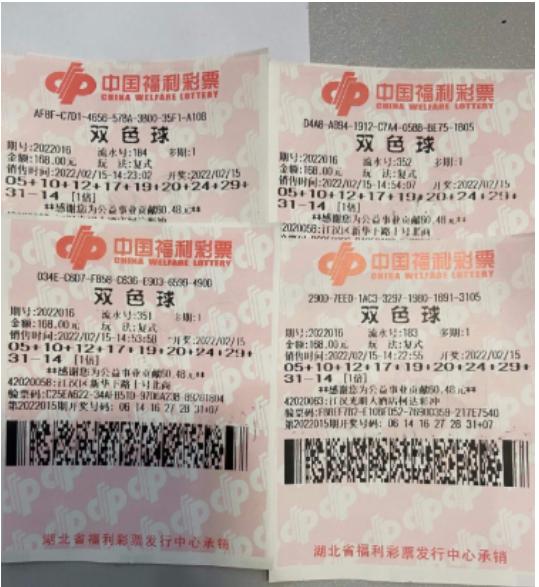 双色球查询，探索彩票世界的神秘与乐趣