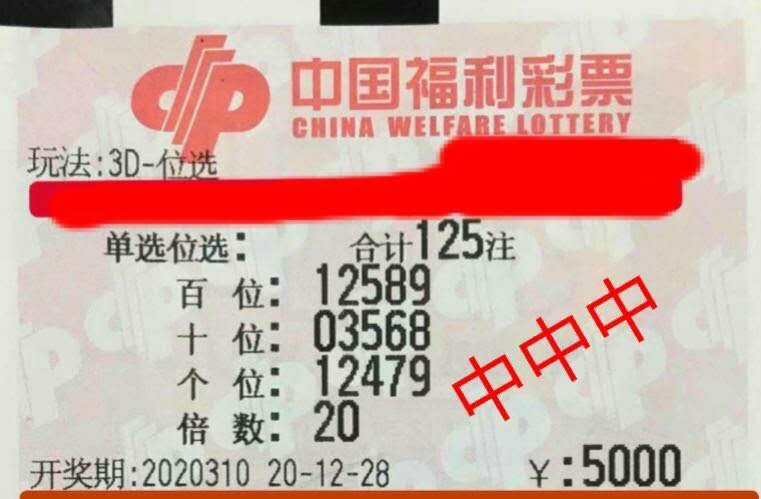中国3D彩票今天的中奖号码，揭秘幸运之门背后的秘密