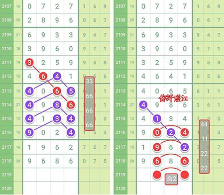 七星彩精彩论坛华南版，探索与分享