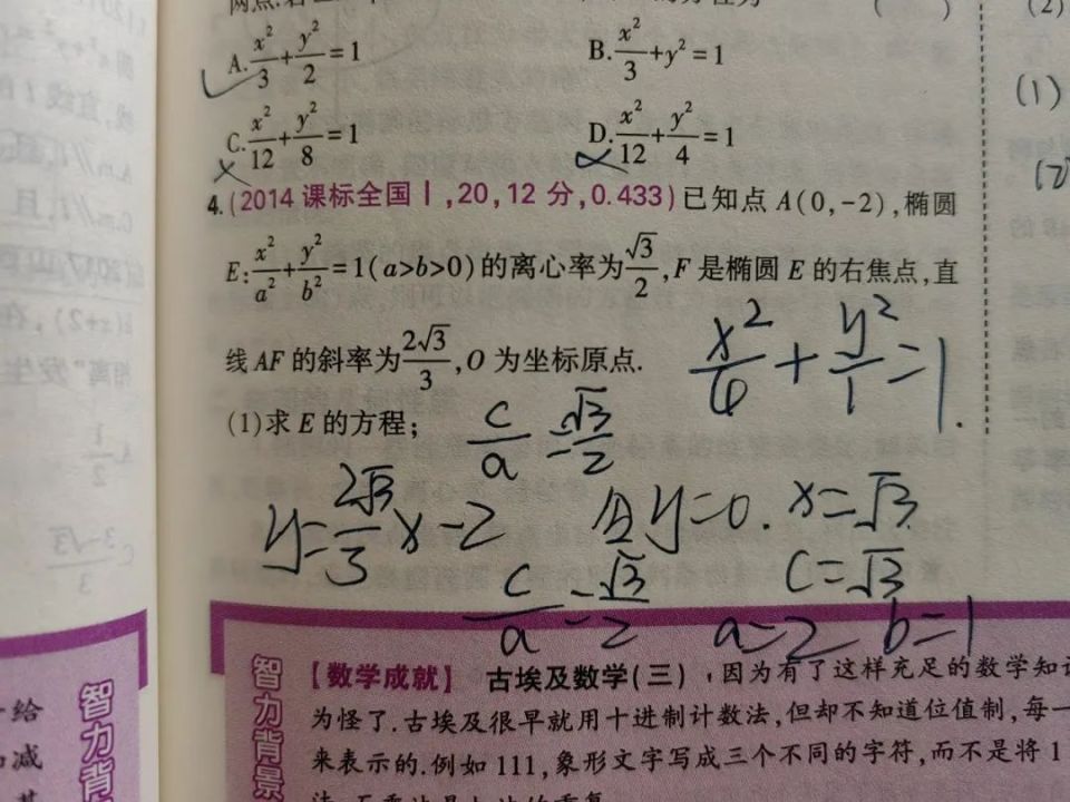 谜语大全及答案精选集，一千个谜题与解答