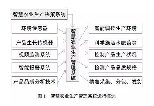 周易预测彩票号码，古老智慧与现代博弈的交融