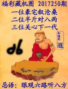 福彩3D藏机图字谜总汇，揭秘神秘字谜背后的奥秘
