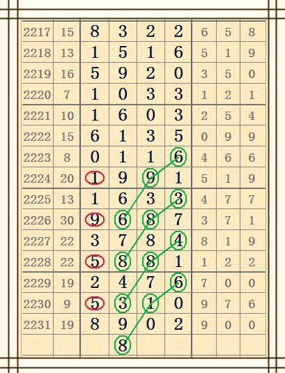 海南彩票七星彩长条图，探索与解析