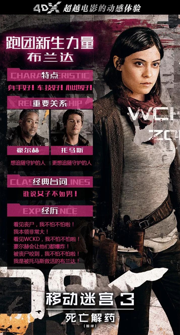 揭开真相的面纱，真实的谎言与字谜历史查询之旅