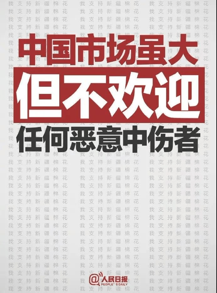 与导师同行，投注赚钱的秘诀与策略