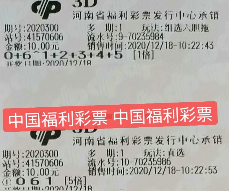 今天福利彩票3D开奖结果引发的热议