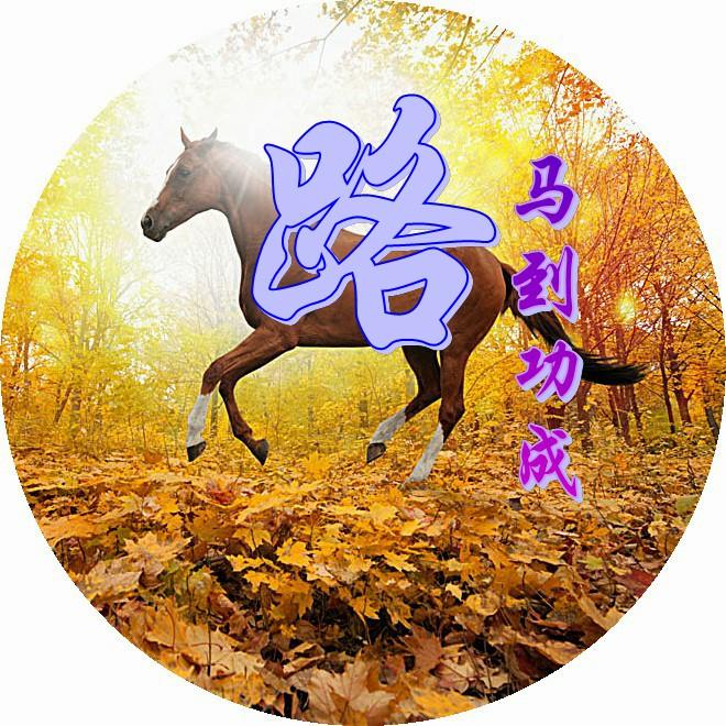 探索数字社区，走进118论坛与123之家的融合世界