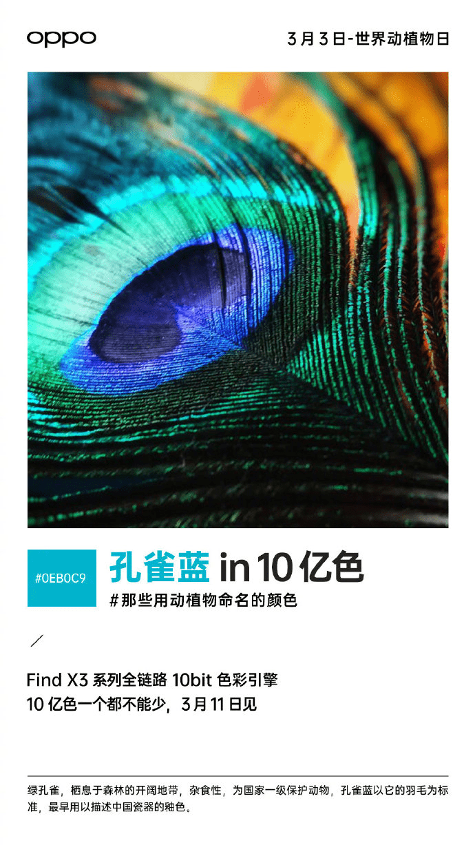 探索无尽的色彩世界，从118彩色厍图库到彩图下载之旅的深入探索