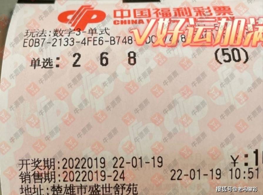 揭秘2021年第019期3D福彩中心开机号，幸运与期待交织的时刻