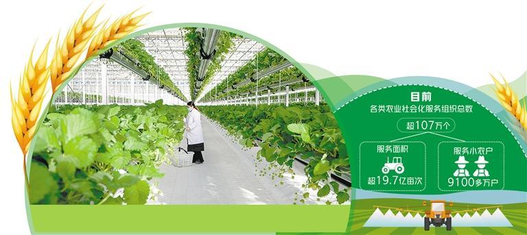 农药网购平台，革新农业服务的新纪元