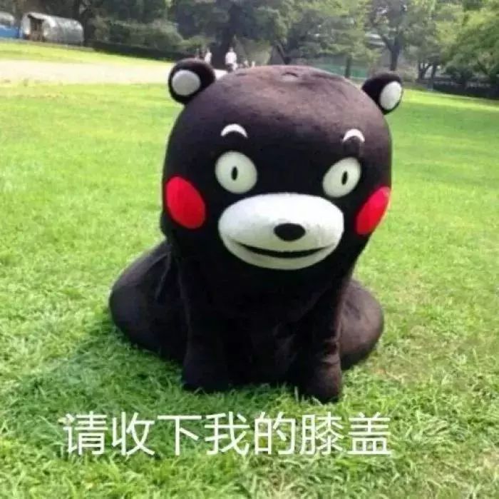 福建31选7最新消息，全新动态与深度解析