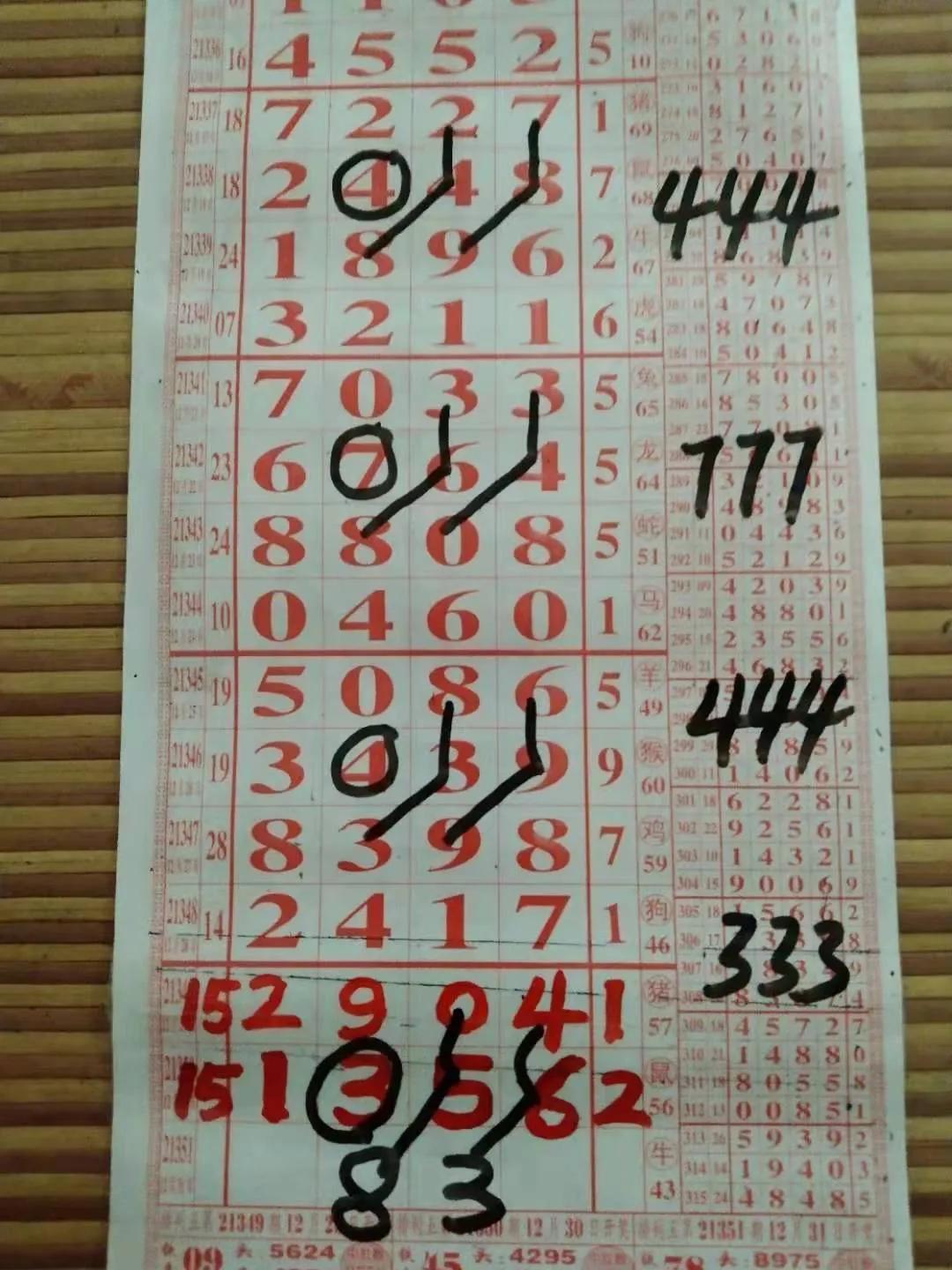 探索排列五走势图表，直观感受与深度洞察