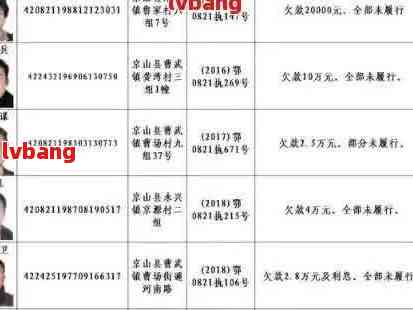 失信被执行人名单查询官网，揭示信用背后的真相