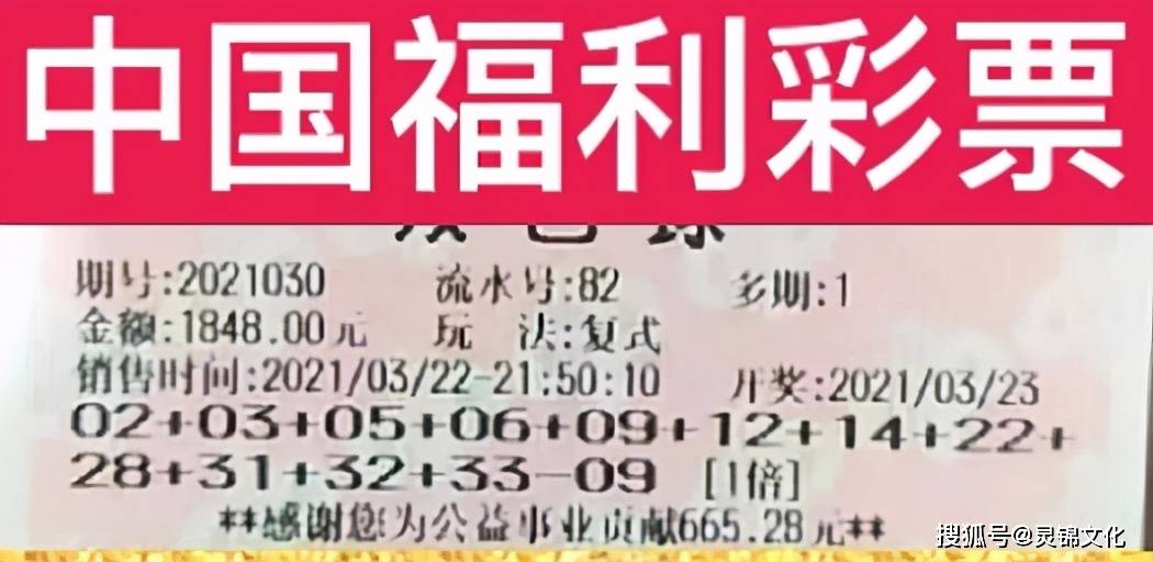 双色球今晚开奖走势图预测，探索彩票背后的可能性与策略