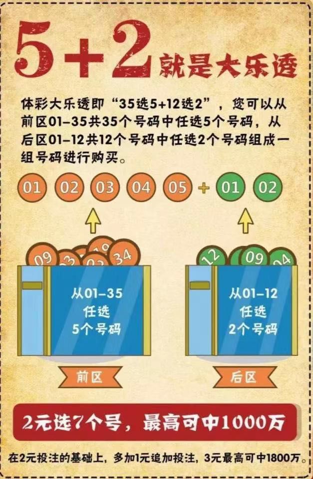 新浪彩票的3D直选综合版，探索未来彩票的新体验