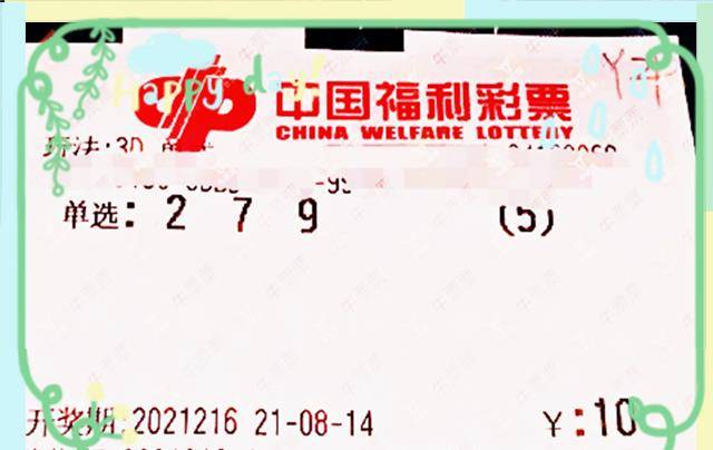中国福利彩票2023年第三十三期，梦想与希望的新篇章