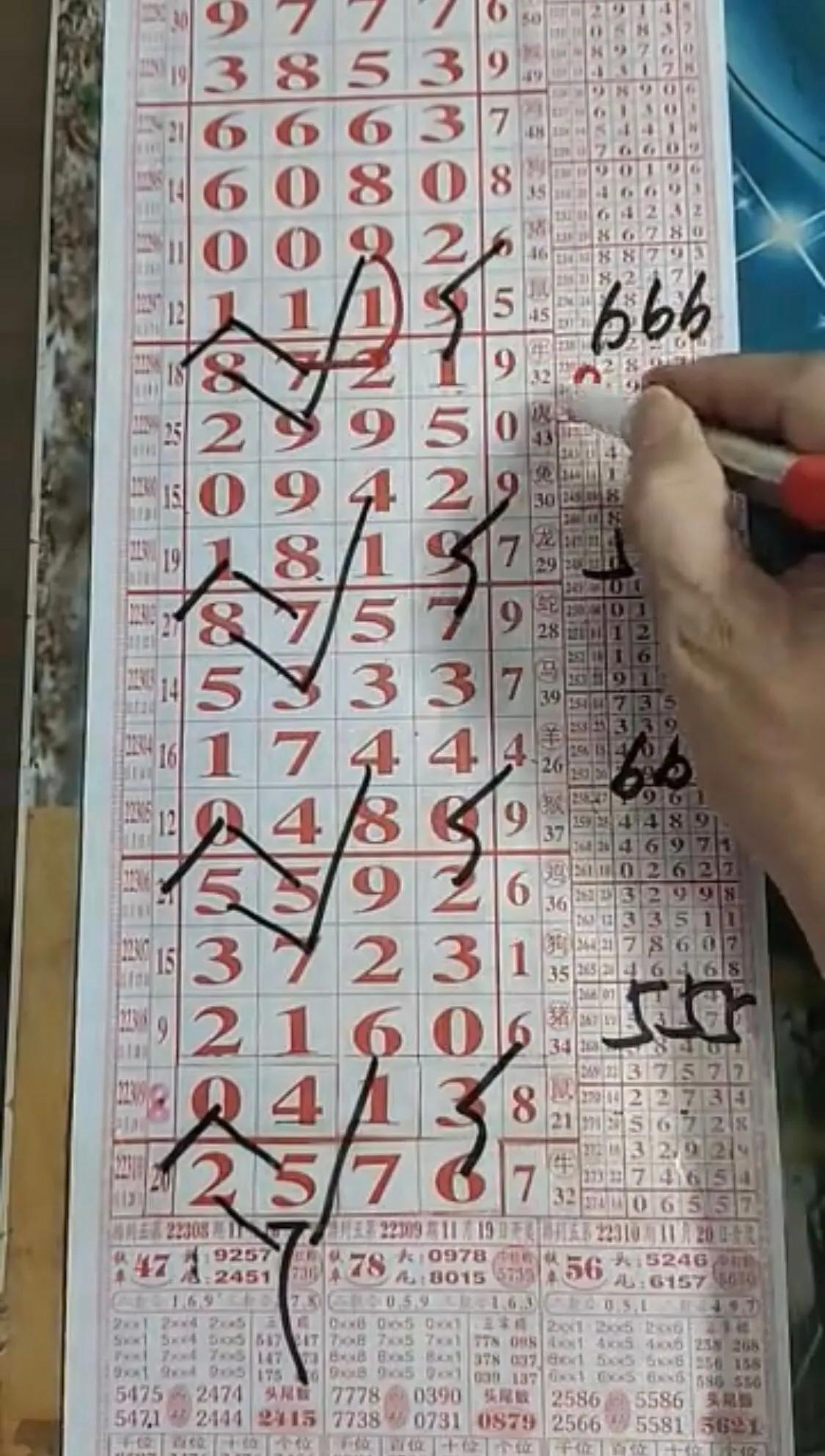 浙江排列三风采走势图，揭示数字世界的魅力与风采