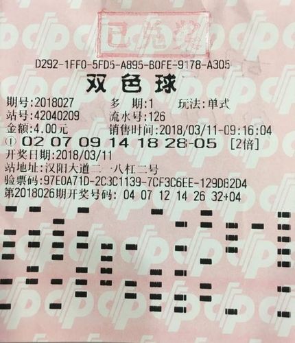 大乐i透开奖结果——揭秘彩票背后的故事